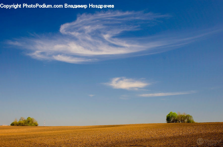 Field, Grass, Grassland, Land, Outdoors, Landscape, Nature