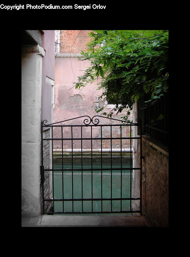 Plant, Potted Plant, Balcony, Arch, Gate, Bonsai, Tree