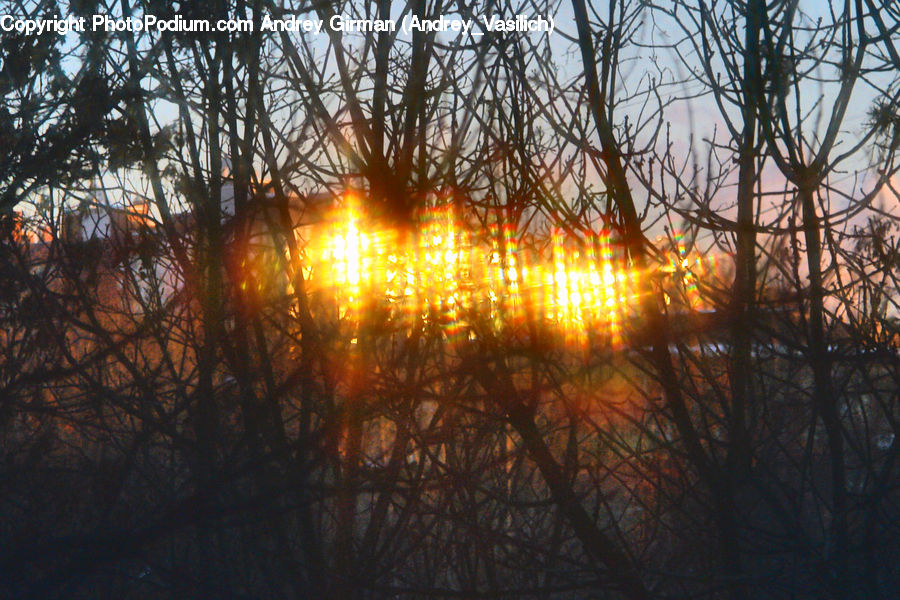 Dawn, Dusk, Sky, Sunrise, Sunset, Flare, Light