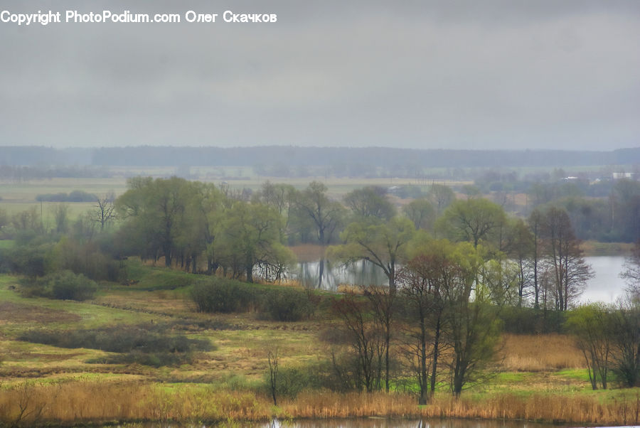 Field, Grass, Grassland, Land, Outdoors, Landscape, Nature