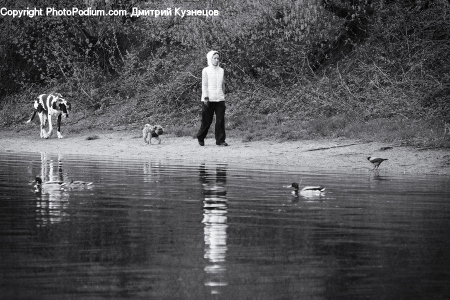 Water, Leisure Activities, Walking, Outdoors