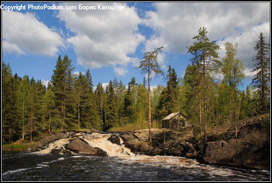 Outdoors, Wilderness, River, Water, Conifer, Fir, Plant