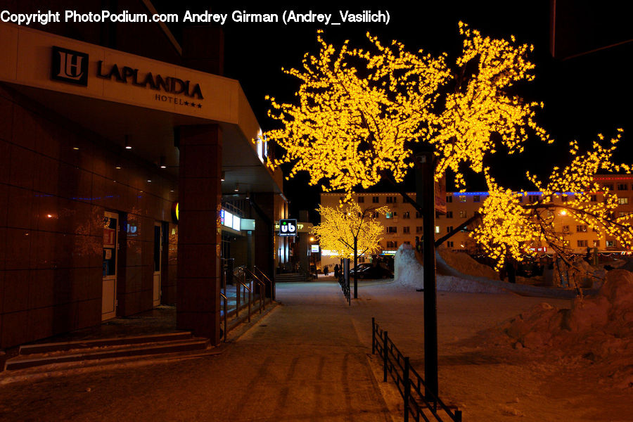 Night, Outdoors, Plant, Tree, Landscape, Nature, Scenery