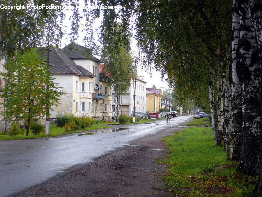 Building, Cottage, Housing, Dirt Road, Gravel, Road, Villa