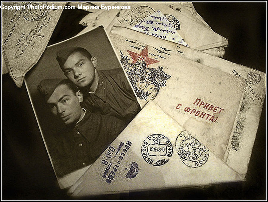 People, Person, Human, Id Cards, Paper, Passport, Text