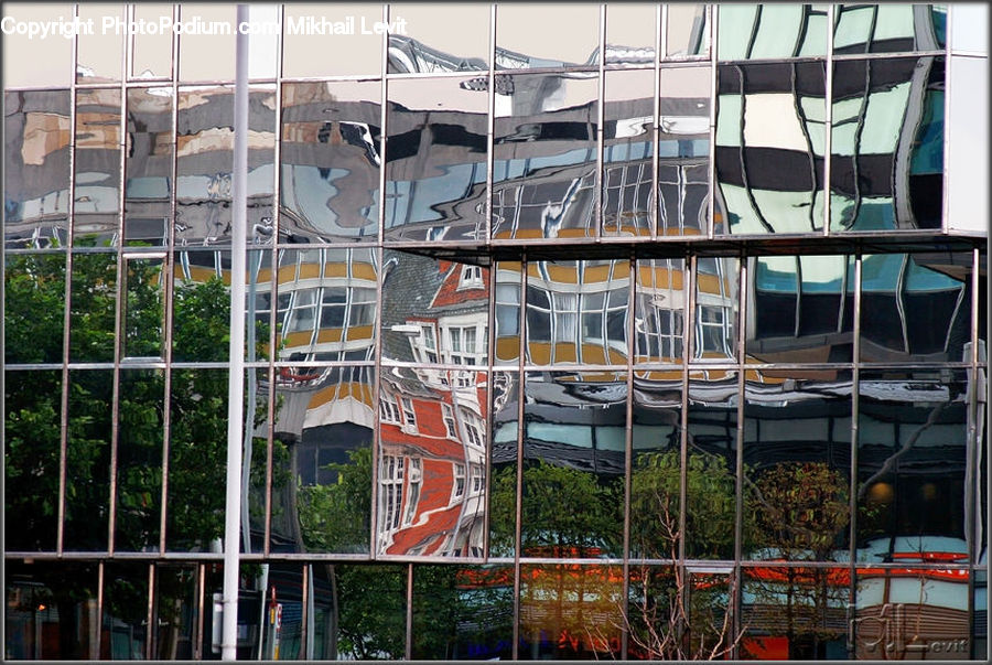 Plant, Potted Plant, Collage, Poster, Building, Housing, Bus