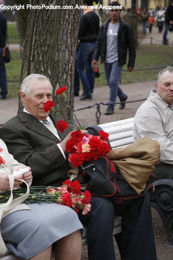 Human, People, Person, Blossom, Flower, Plant, Rose