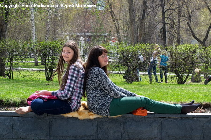 People, Person, Human, Plant, Potted Plant, Picnic, Conifer