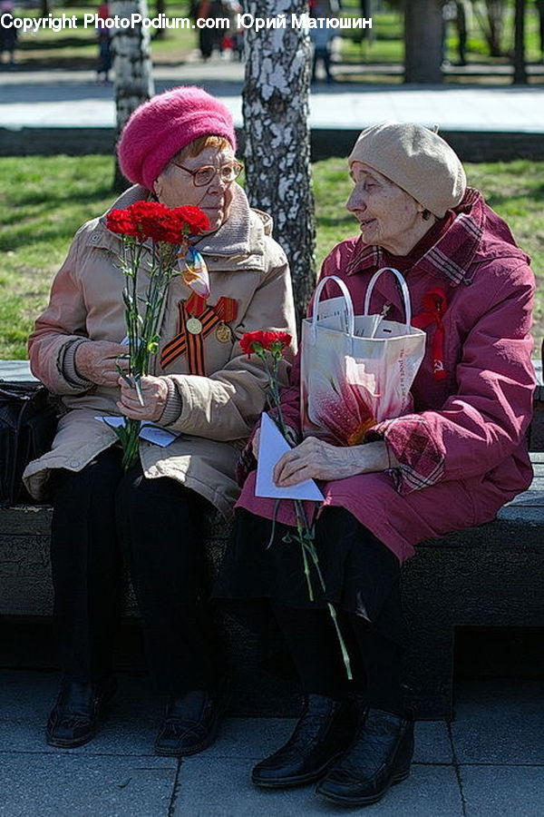 People, Person, Human, Clown, Performer, Bench