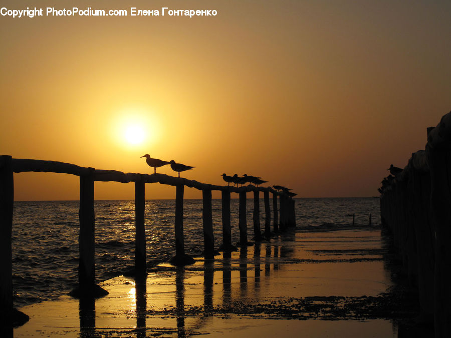Coast, Outdoors, Sea, Water, Beach, Dock, Pier