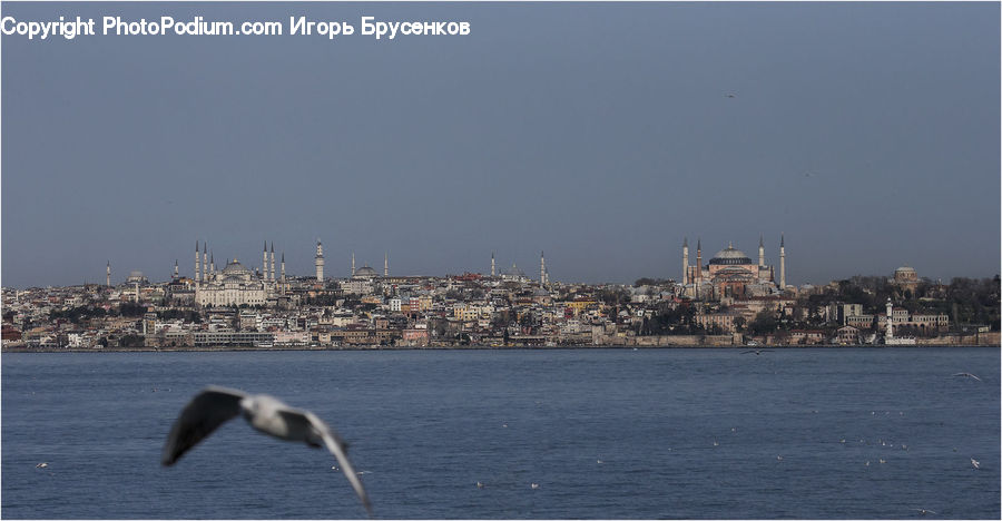 City, Downtown, Architecture, Dome, Mosque, Worship, Waterfront
