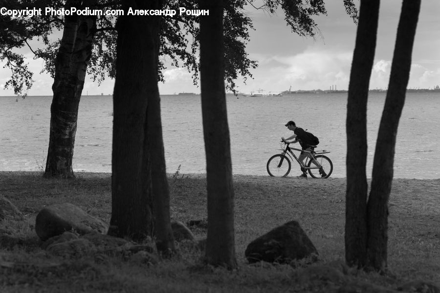People, Person, Human, Bicycle, Bike, Vehicle, Animal