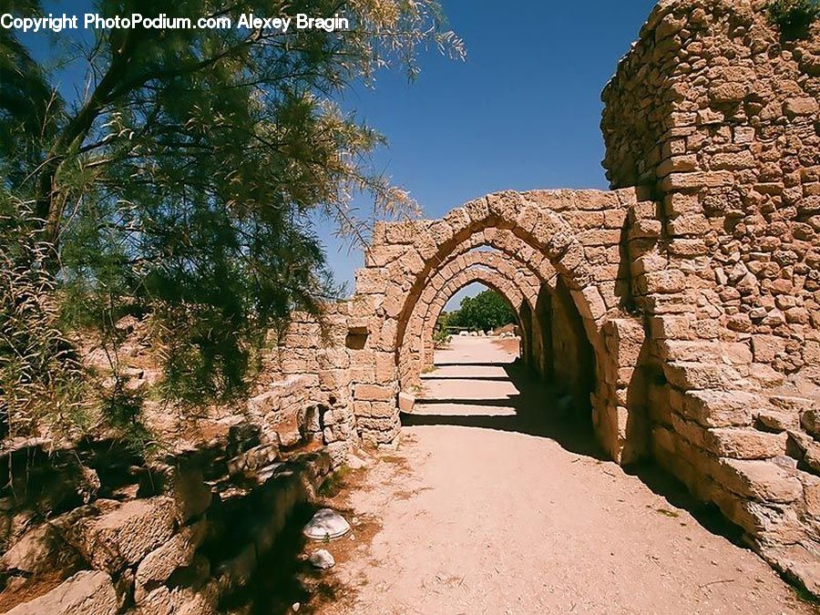 Animal, Mammal, Sheep, Arch, Castle, Fort, Ruins
