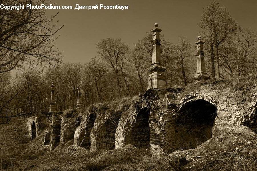 Hole, Ruins, Architecture, Castle, Fort, Forest, Vegetation