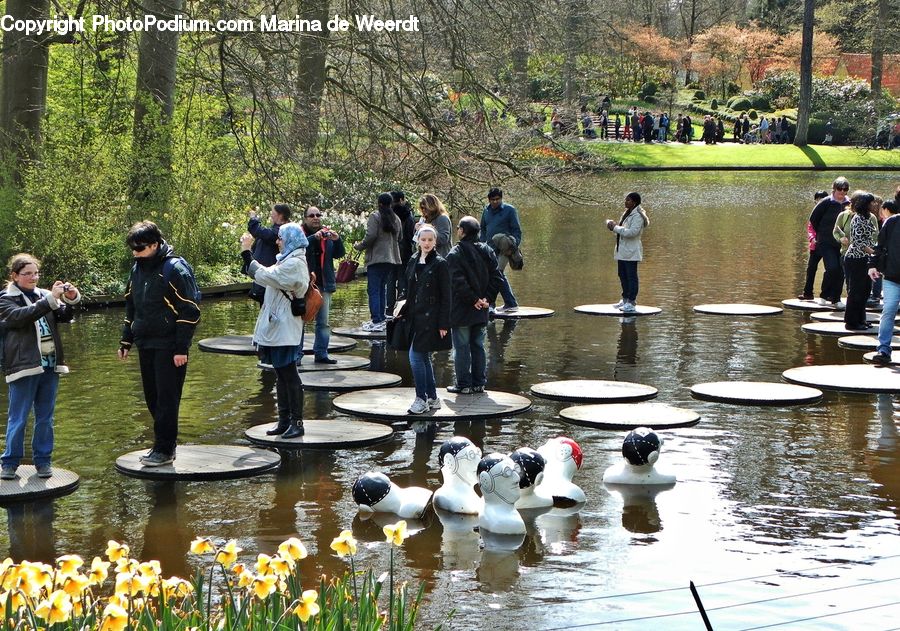People, Person, Human, Leisure Activities, Outdoors, Pond, Water