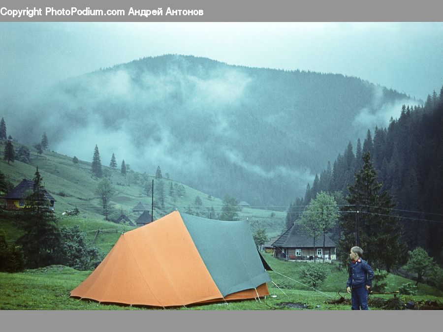 Camping, Mountain Tent, Tent, Garden, Gardener, Gardening, Person