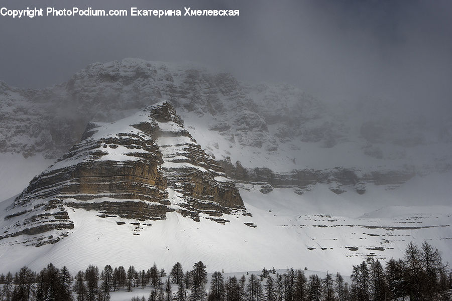 Alps, Crest, Mountain, Peak, Conifer, Fir, Plant