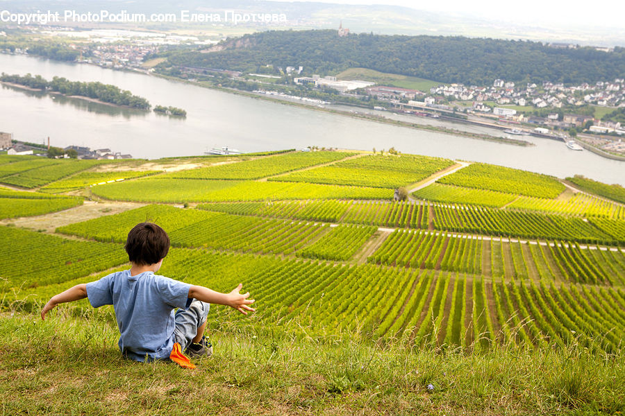 People, Person, Human, Countryside, Field, Grass, Grassland