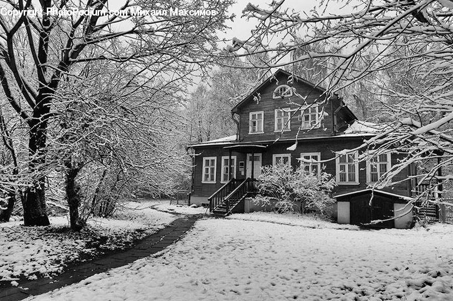 Building, Cottage, Housing, Bench, Cabin, Hut, Rural