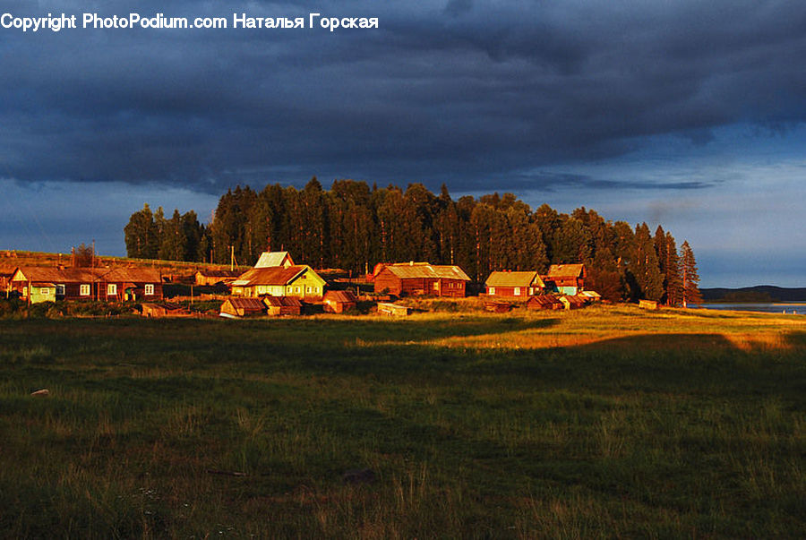 Field, Grass, Grassland, Land, Outdoors, Countryside, Rural