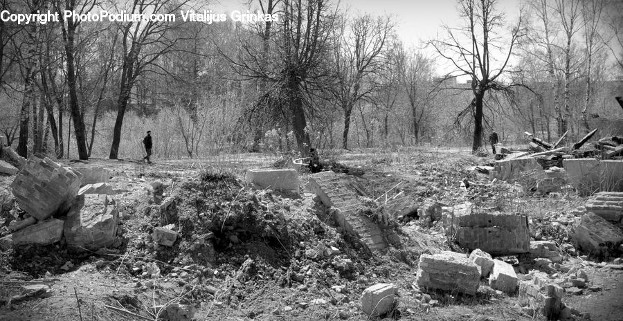 Tomb, Ruins, Rubble, Chair, Furniture, Forest, Vegetation