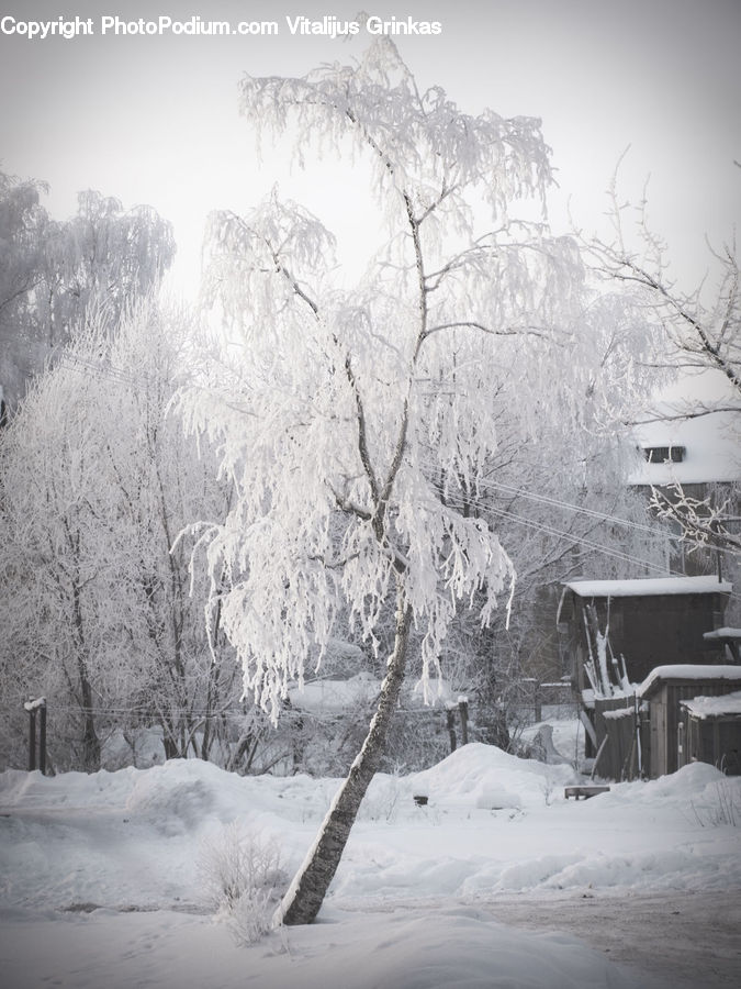 Ice, Outdoors, Snow, Cabin, Hut, Rural, Shack