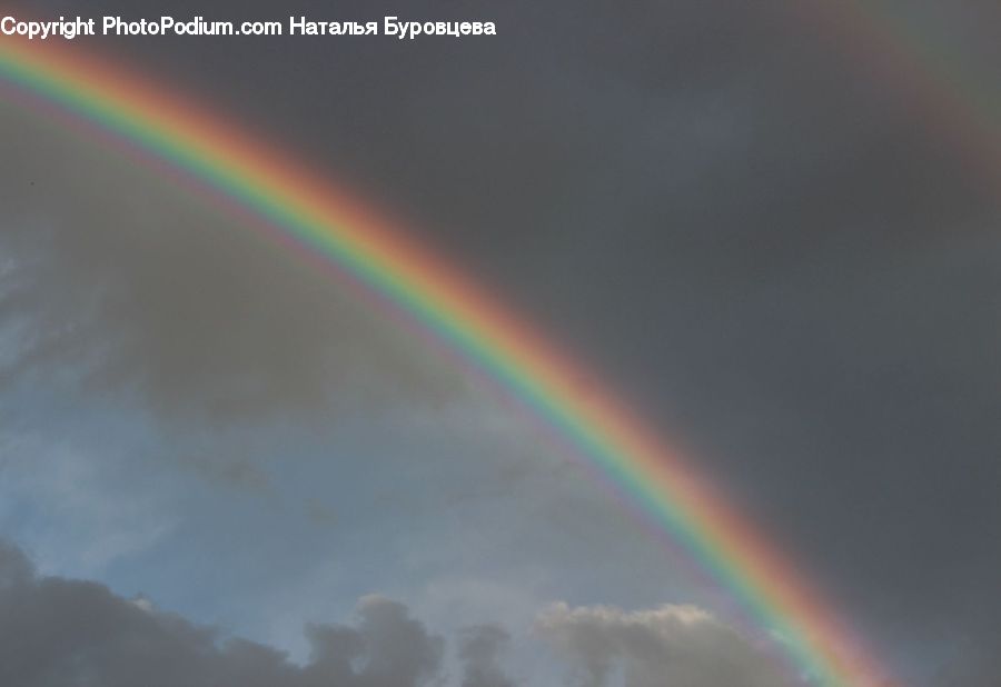 Outdoors, Rainbow, Sky, Plant, Vegetation