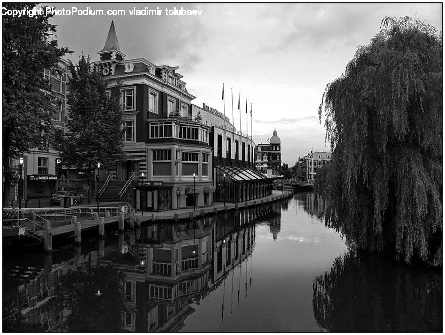 Canal, Outdoors, River, Water, Collage, Poster, Plant