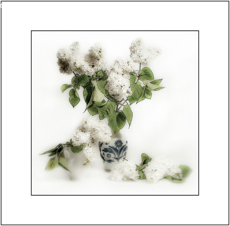 Floral Design, Flower, Flower Arrangement, Flower Bouquet, Ikebana, Blossom, Lilac