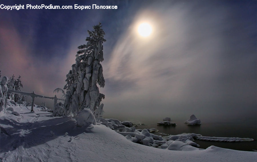 Ice, Outdoors, Snow, Plant, Potted Plant, Astronomy, Full Moon