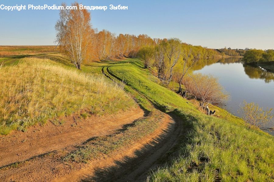 Ditch, Dirt Road, Gravel, Road, Field, Grass, Grassland