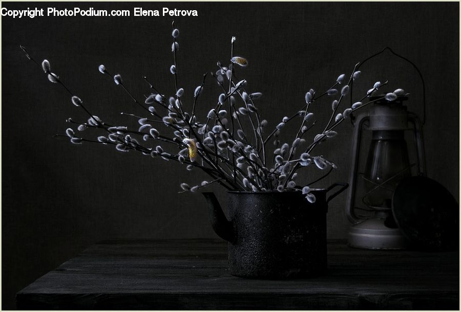 Plant, Potted Plant, Flower Arrangement, Ikebana, Vase, Table, Tabletop