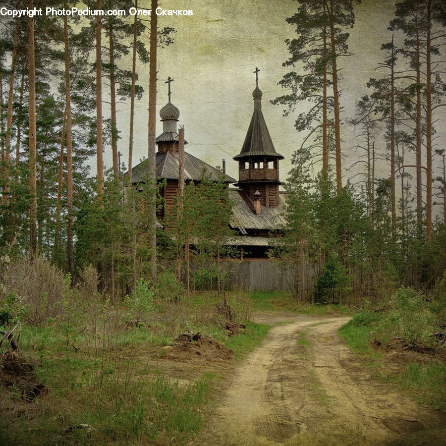 Cabin, Hut, Rural, Shack, Shelter, Building, Cottage