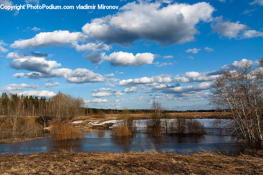 Cloud, Cumulus, Sky, Azure Sky, Outdoors, Land, Marsh