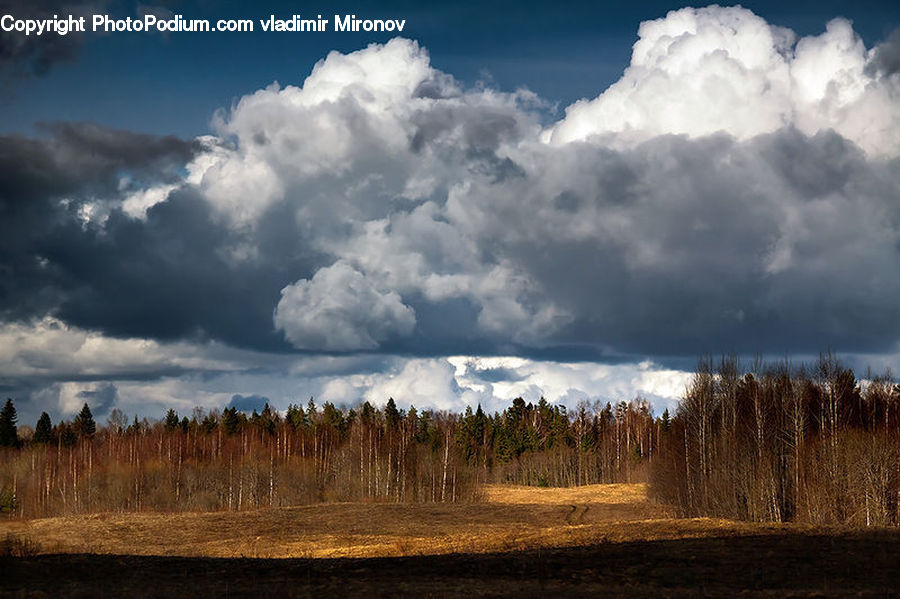Cloud, Cumulus, Sky, Azure Sky, Outdoors, Landscape, Nature