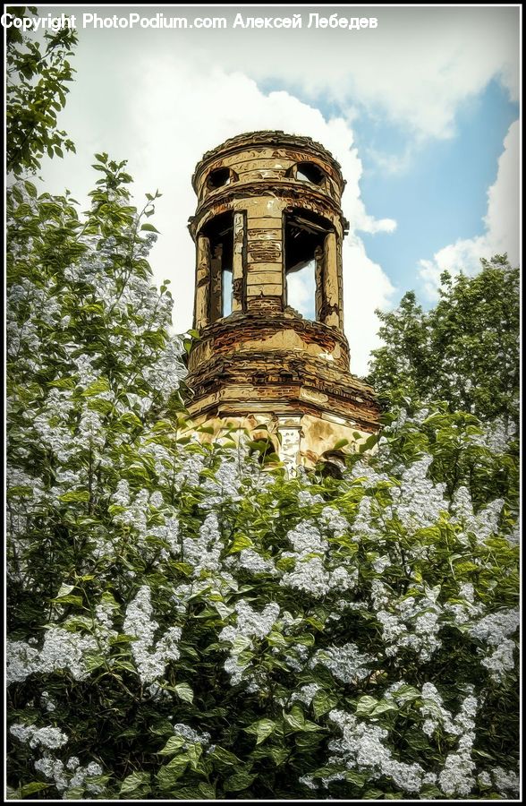 Architecture, Bell Tower, Clock Tower, Tower, Shrine, Temple, Worship
