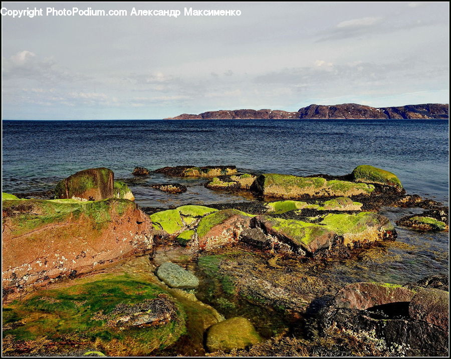 Coast, Outdoors, Sea, Water, Soil, Algae, Promontory