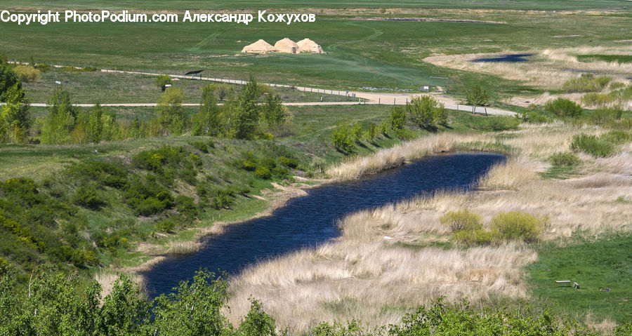 Field, Grass, Grassland, Land, Outdoors, Plant, Vegetation