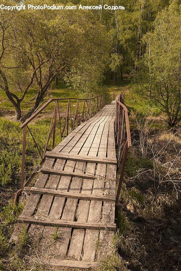 Boardwalk, Deck, Path, Sidewalk, Walkway, Hay, Straw