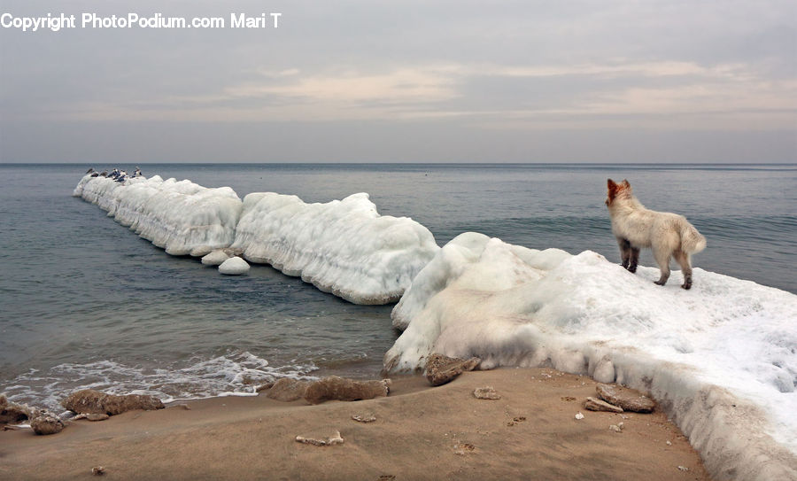 Beach, Coast, Outdoors, Sea, Water, Sea Waves, Arctic