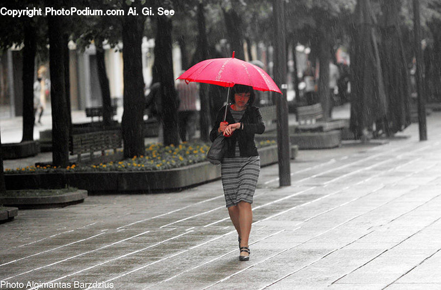 People, Person, Human, Umbrella