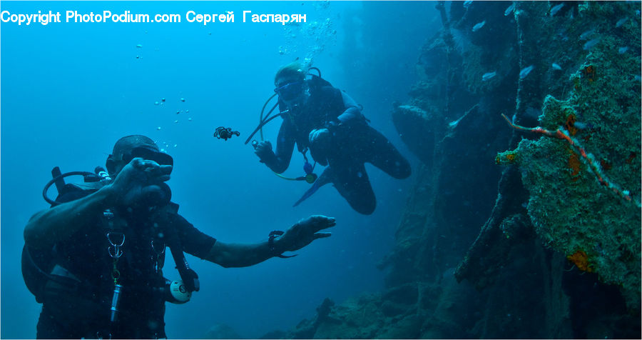 Diver, Diving, Sport, Water, Person