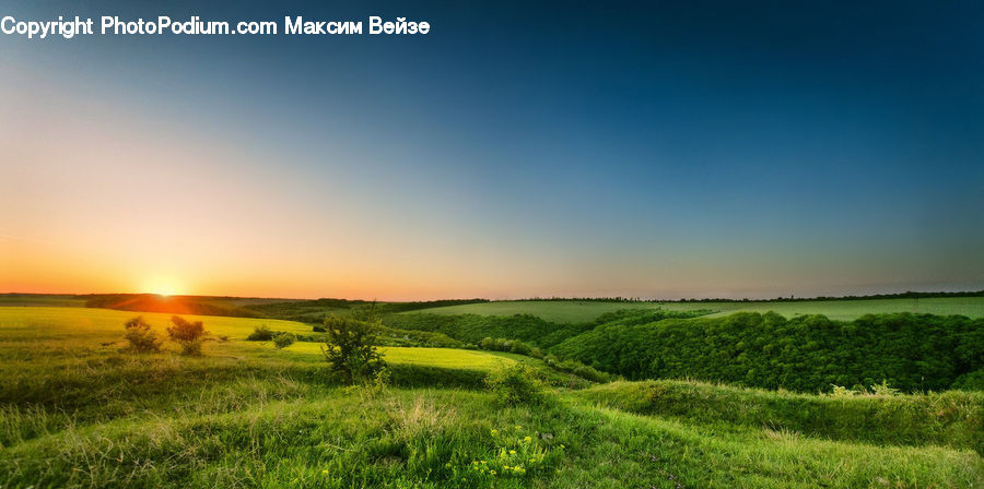 Field, Grass, Grassland, Land, Outdoors, Plant, Landscape