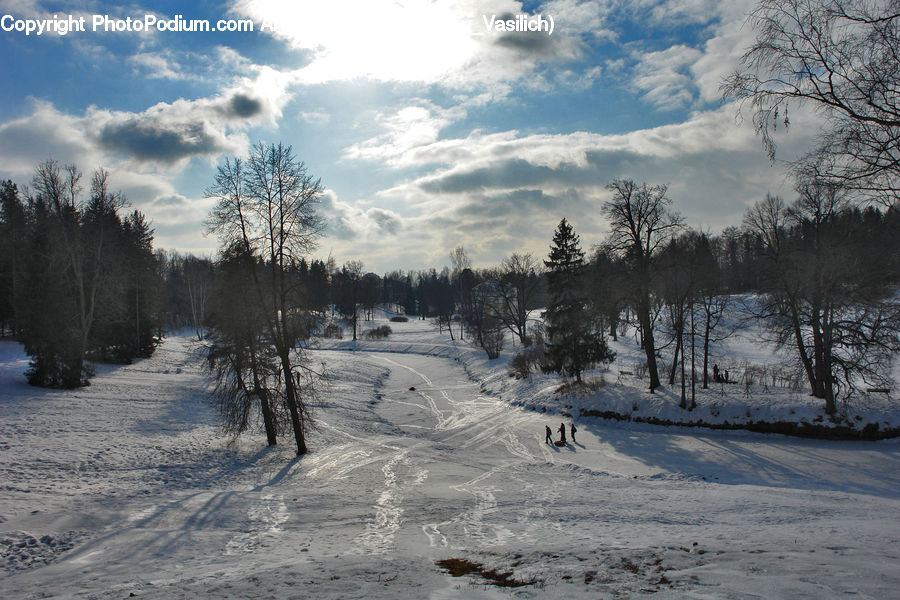 Ice, Outdoors, Snow, Dirt Road, Gravel, Road, Plant