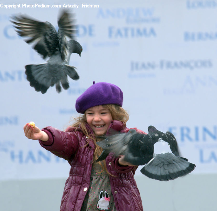 People, Person, Human, Bird, Pigeon, African Grey Parrot, Parrot