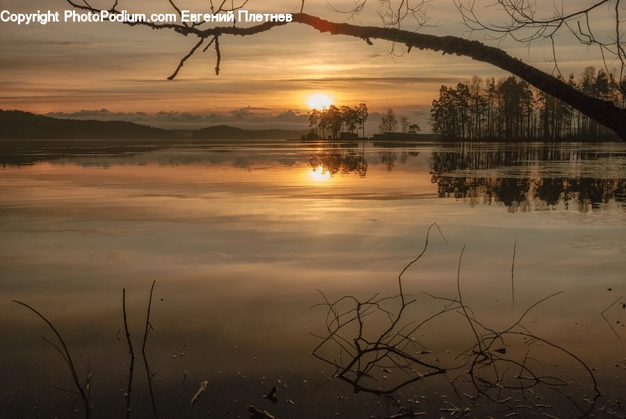 Dawn, Dusk, Sky, Sunrise, Sunset, Fog, Grass