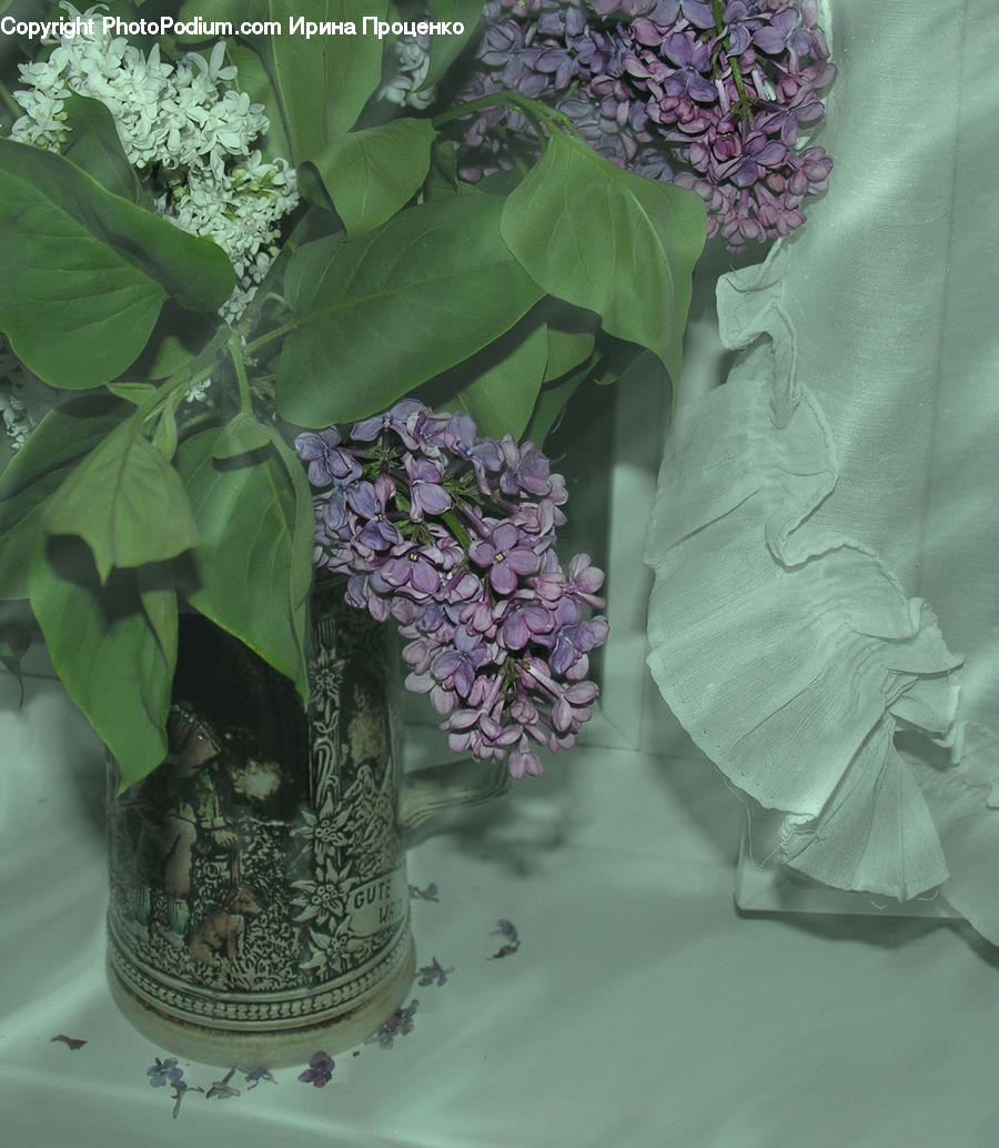 Blossom, Flower, Lilac, Plant, Flower Arrangement, Flower Bouquet, Floral Design