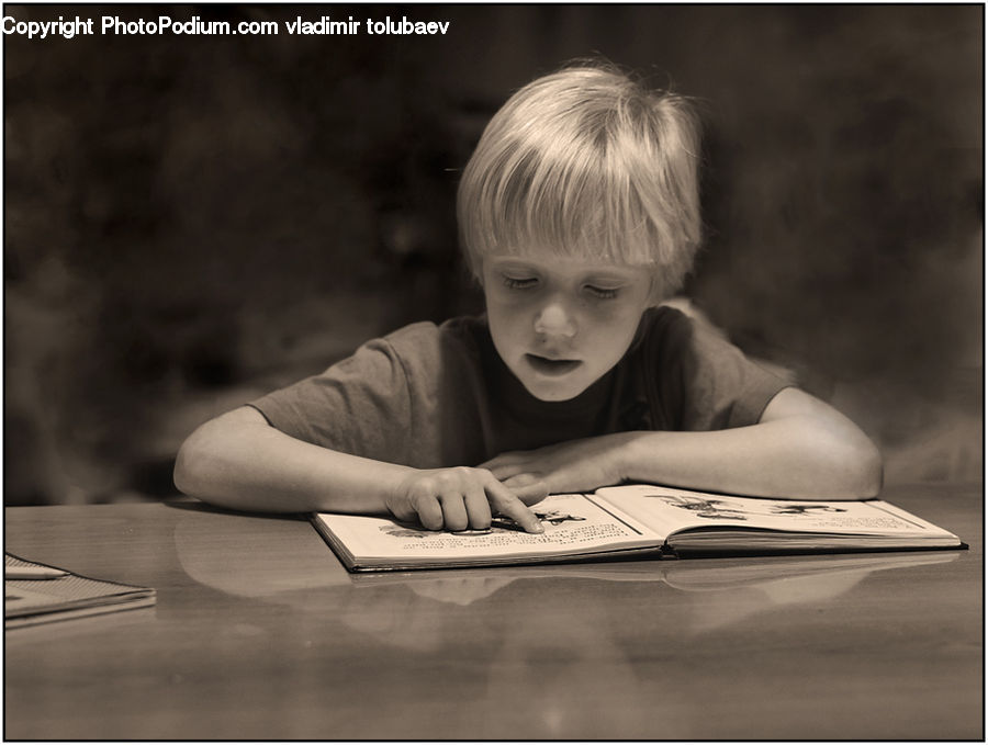 People, Person, Human, Reading, Leisure Activities