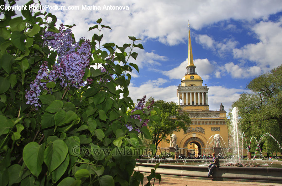 Architecture, Bell Tower, Clock Tower, Tower, Blossom, Flower, Lilac