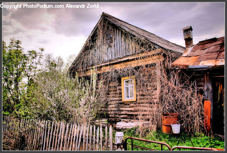 Building, Cottage, Housing, Bucket, House, Plant, Potted Plant